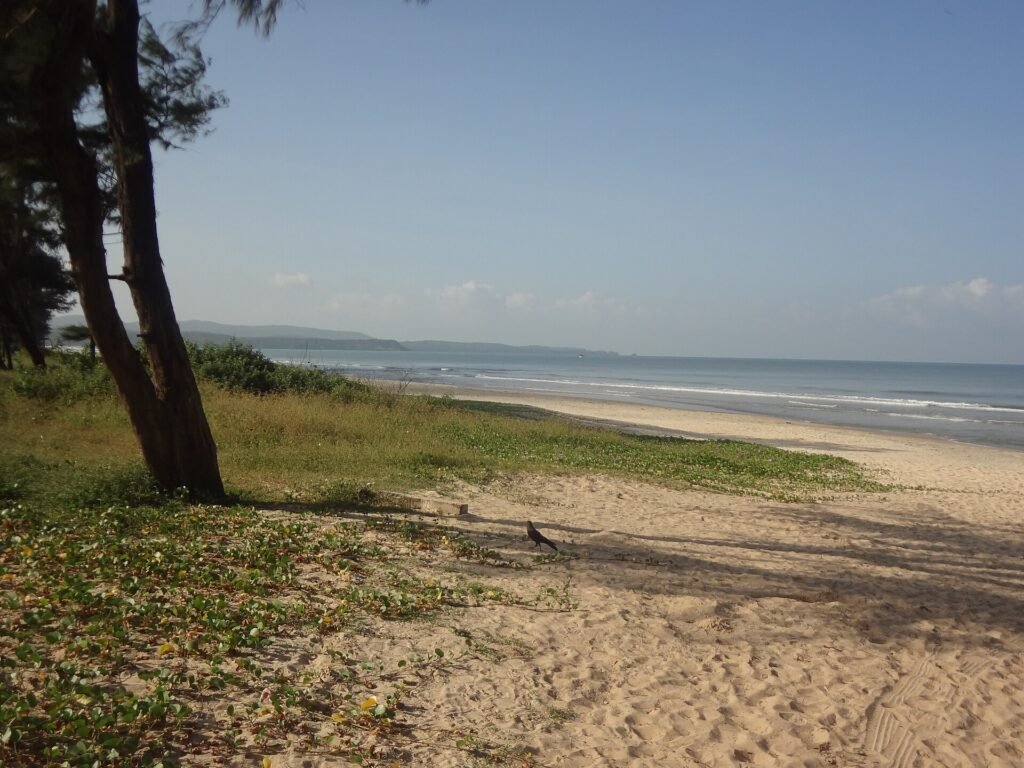 Cavelossim beach, South Goa